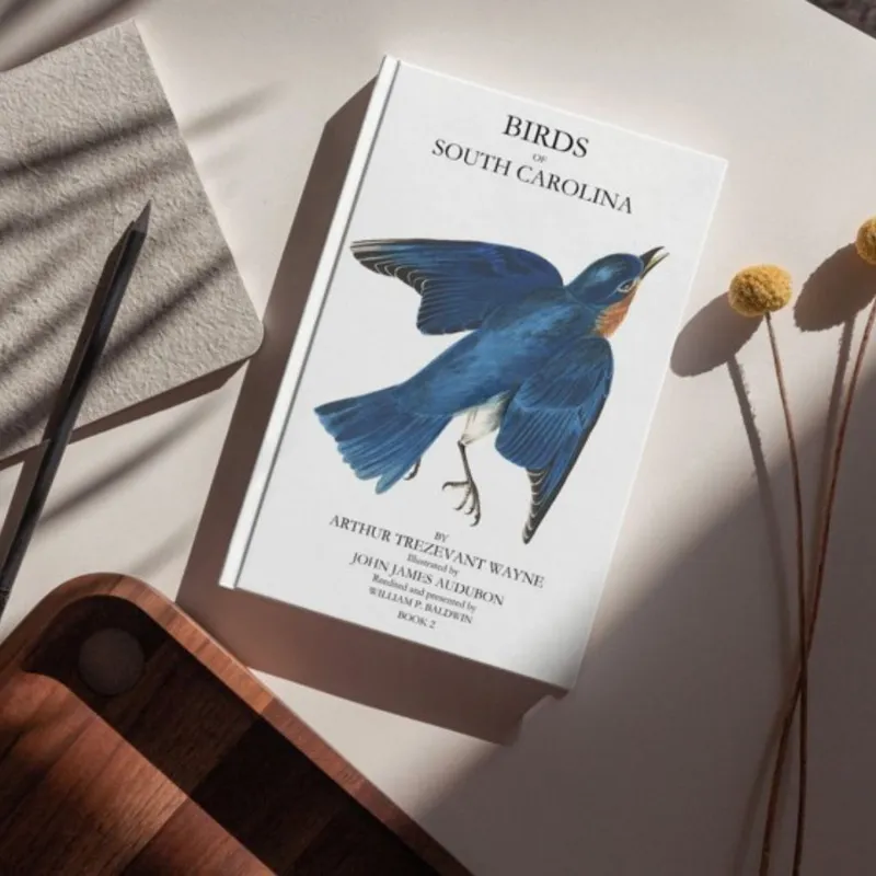 Birds of South Carolina, Vol. 2 — cover